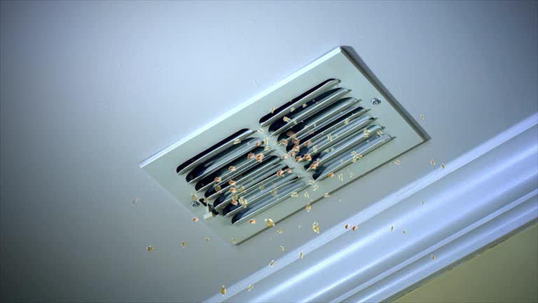 Best Best Air Duct Cleaning Company  in Turtle Creek, PA